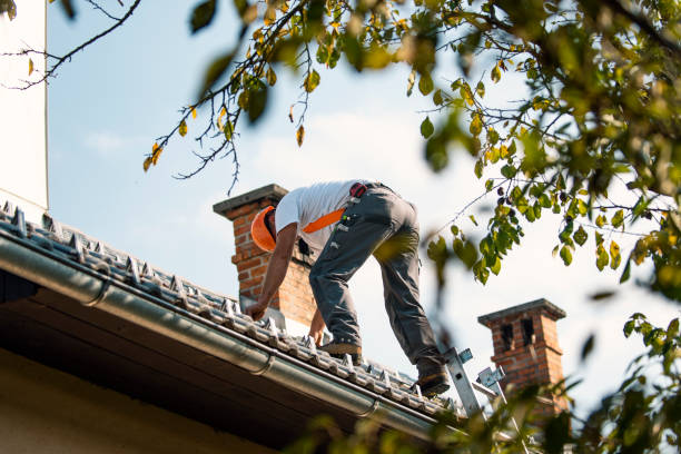 Best Roof Gutter Cleaning  in Galena, KS